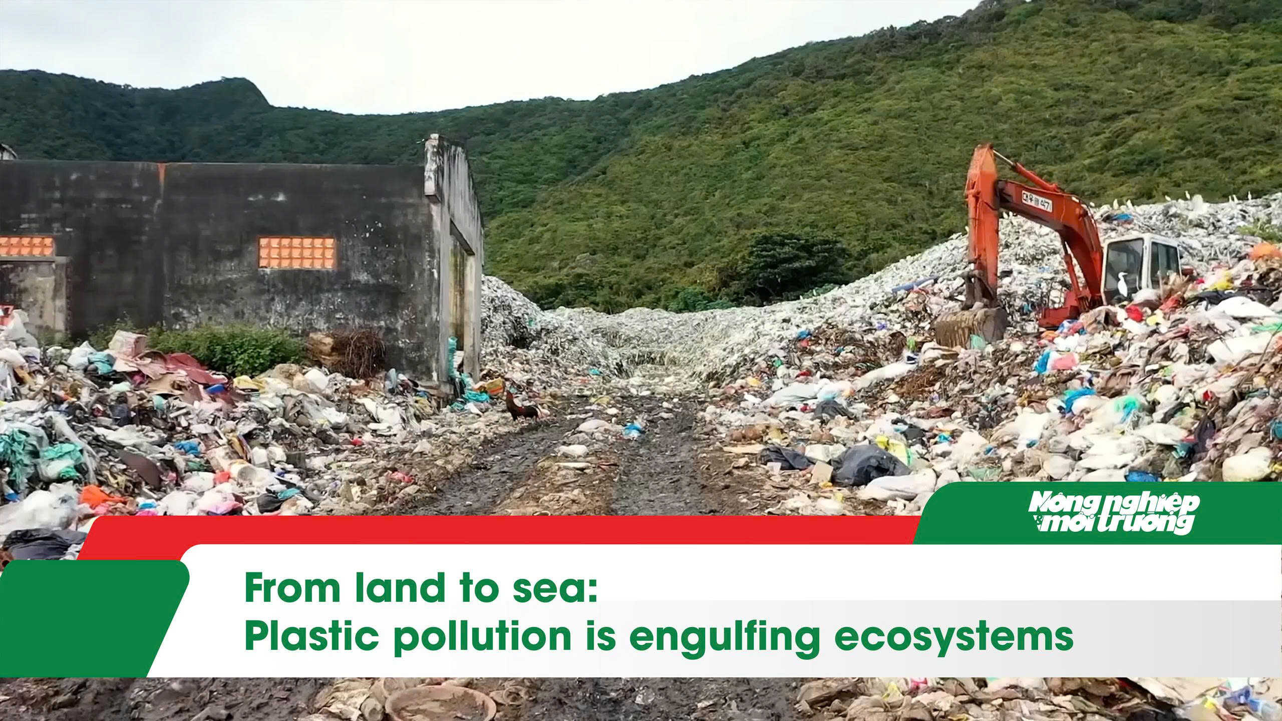 From land to sea: Plastic pollution is engulfing ecosystems

